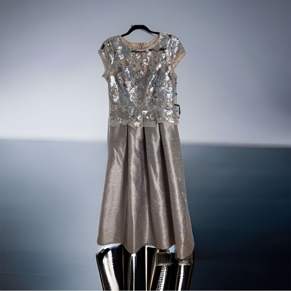 Adrianna Papell Formal Gown Dress NWT 10P Petite Pink Gray Silver Sequin Women’s - Picture 1 of 13
